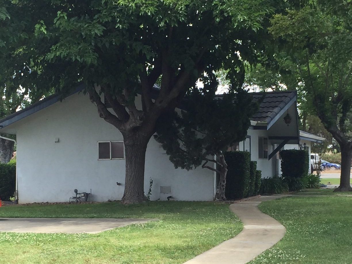 Green spaces in Galt Mobile Estates